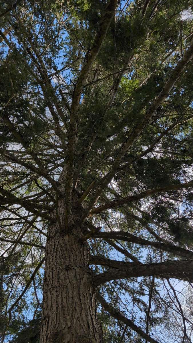 team building scavenger hunt