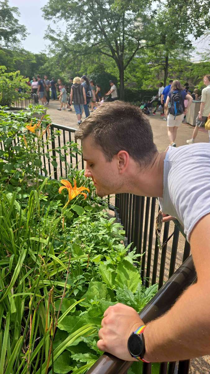 Gold Coast Scavenger Hunt scavenger hunt photos