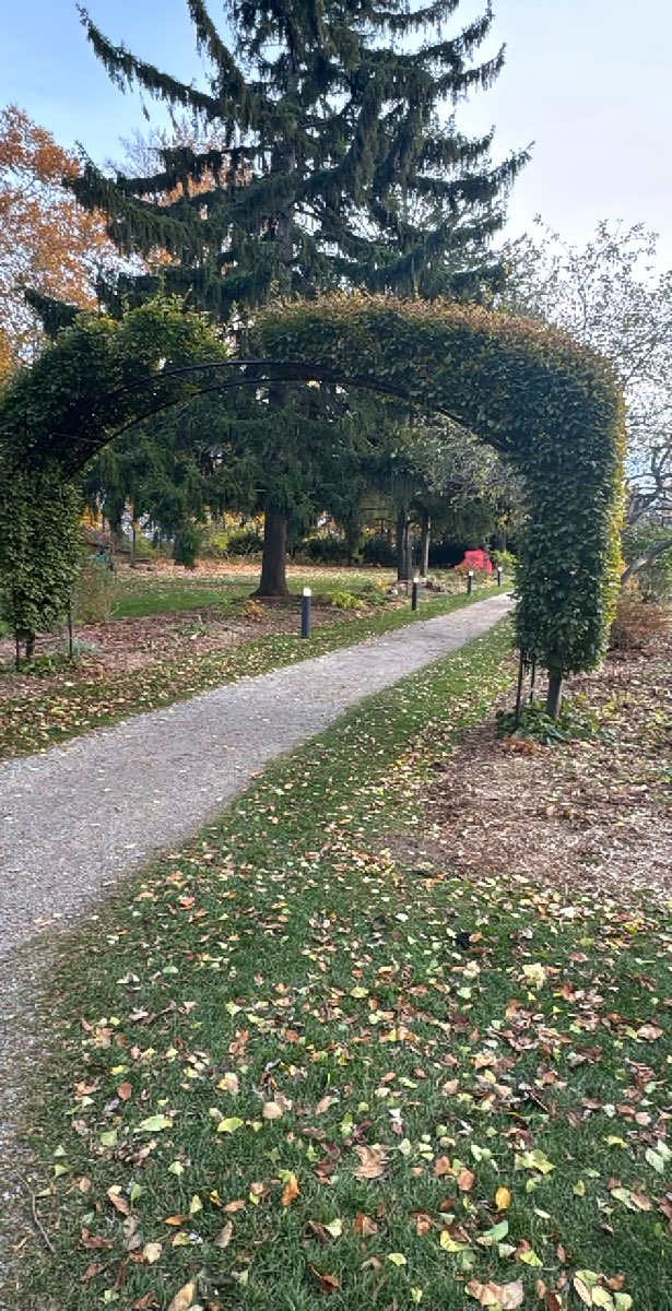 Toronto Downtown Scavenger Hunt scavenger hunt photos