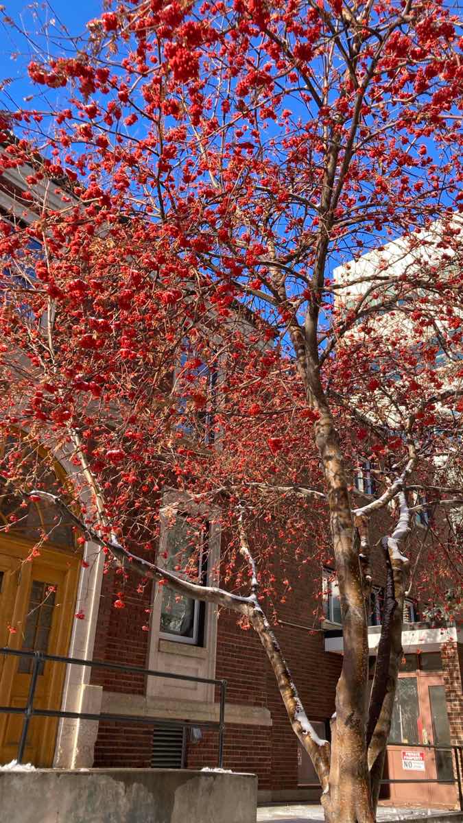 チームビルディング宝探しゲーム