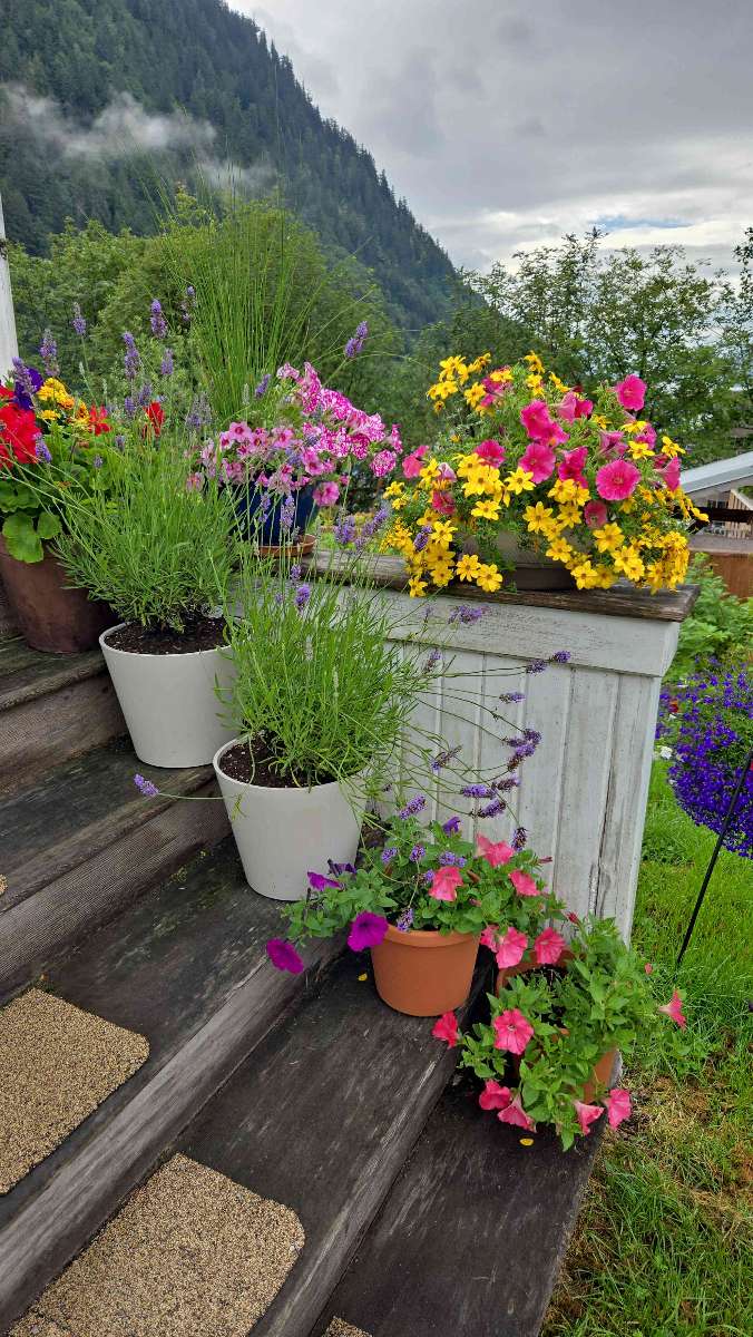 Foto's van de Juneau Scavenger Hunt speurtocht