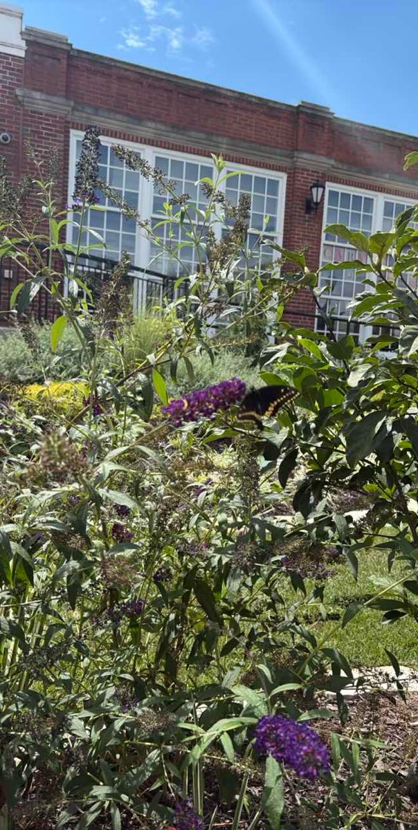 Kirkwood Scavenger Hunt scavenger hunt photos