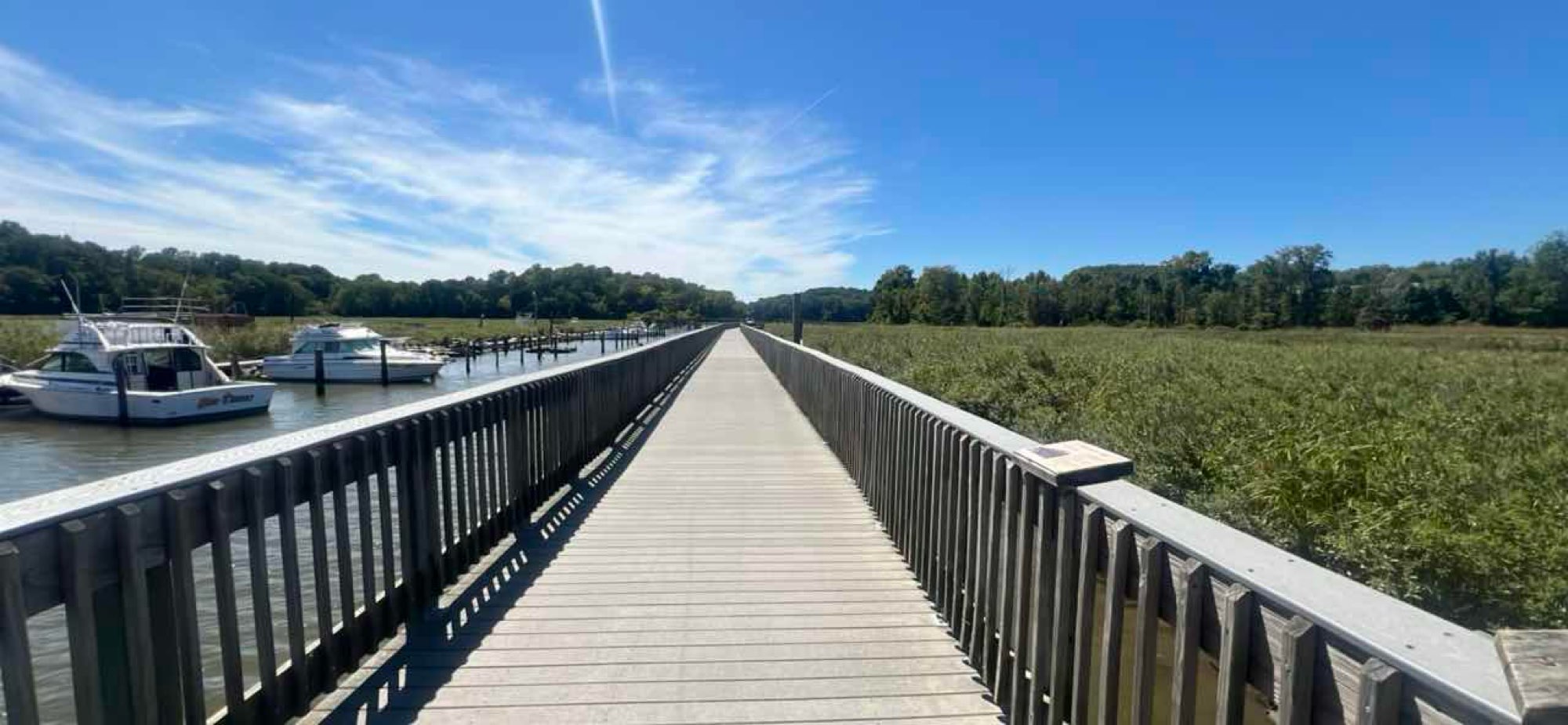 Chesapeake Beach Scavenger Hunt scavenger hunt photos