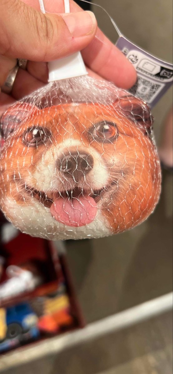 Pagosa Springs Scavenger Hunt scavenger hunt photos