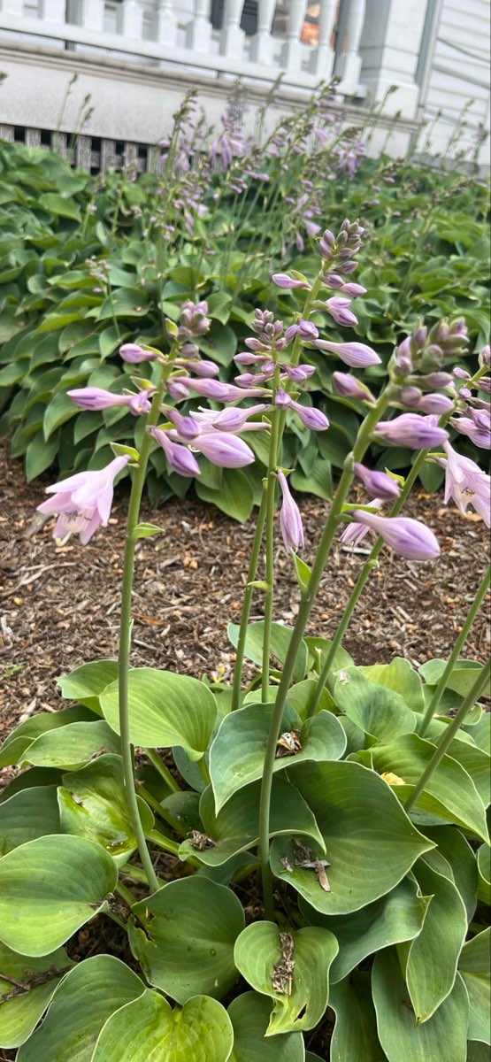 Middlebury College Scavenger Hunt scavenger hunt photos