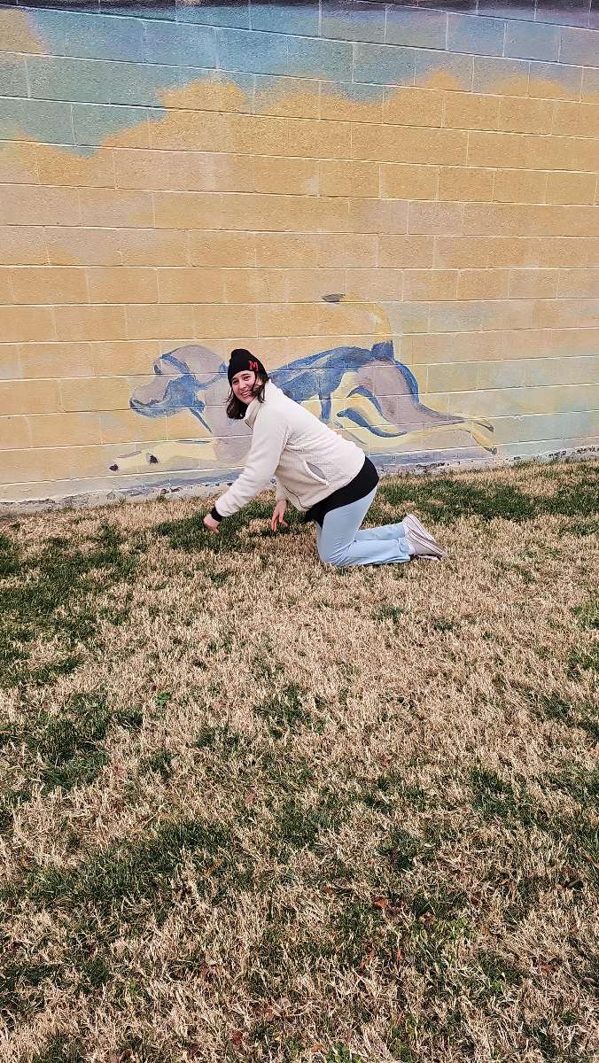 ウィーン・バージニア州 スカベンジャーハント スカベンジャーハント写真