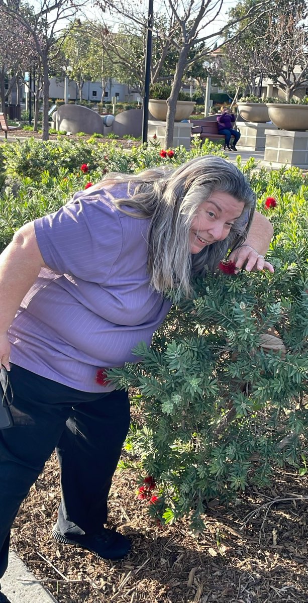 온타리오 스캐빈저 헌트 스캐빈저 헌트 사진