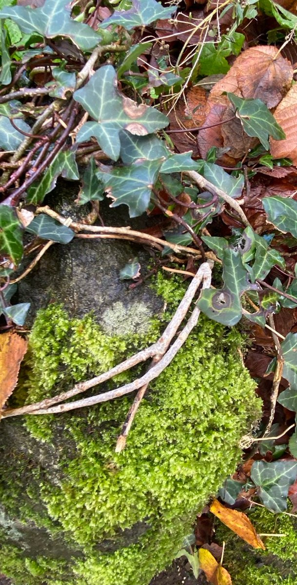 Okehampton Scavenger Hunt scavenger hunt photos