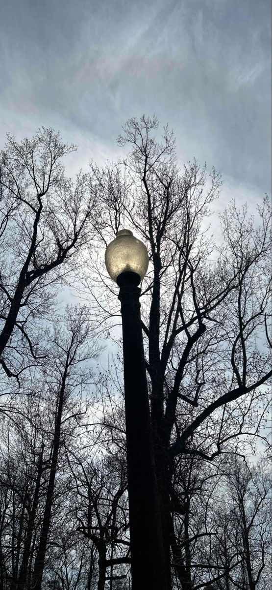 Tower Grove South Scavenger Hunt scavenger hunt photos