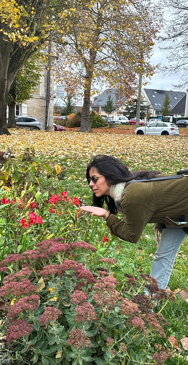 Senlis Scavenger Hunt scavenger hunt photos