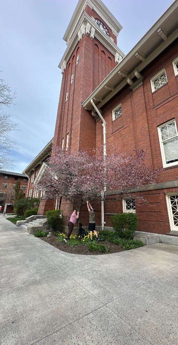 Washington State University Scavenger Hunt scavenger hunt photos