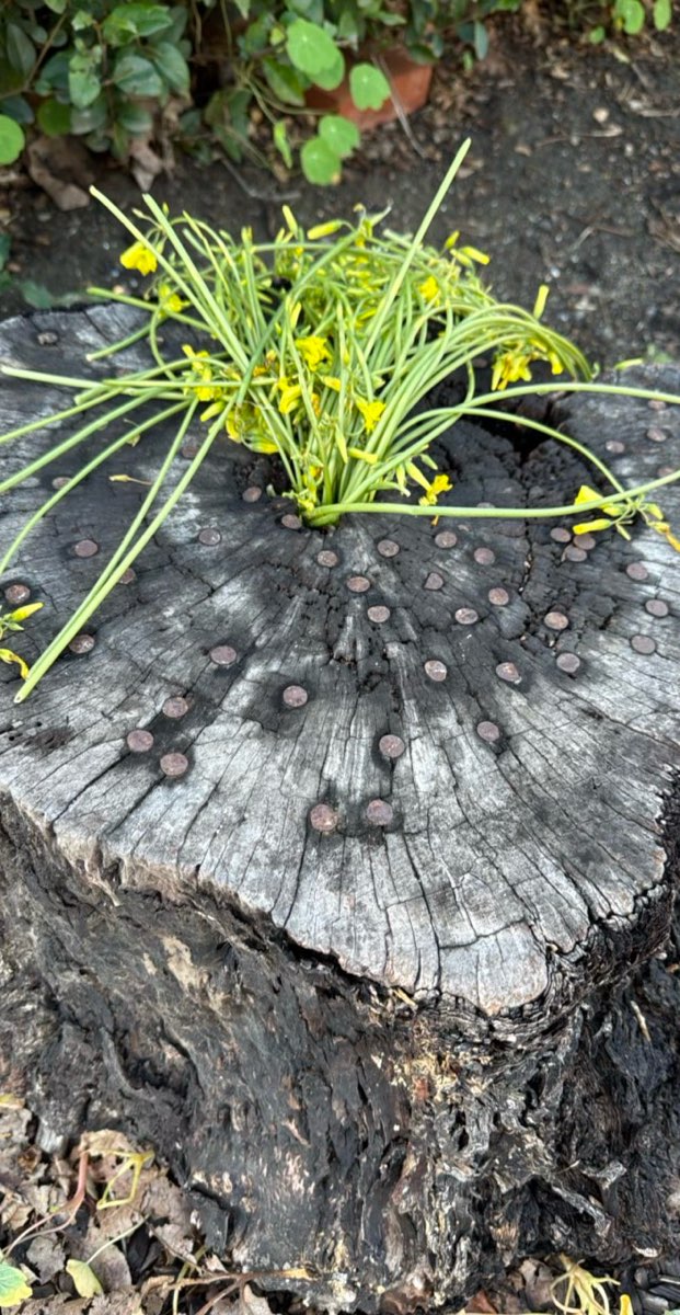 Cambria Scavenger Hunt scavenger hunt photos