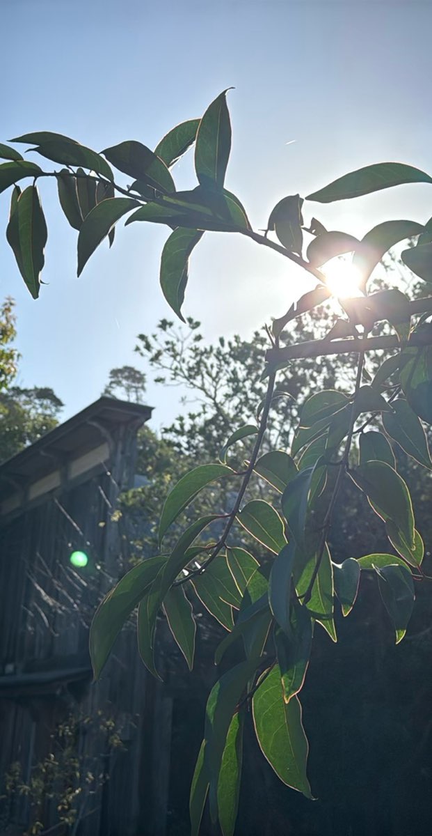 Cambria Scavenger Hunt scavenger hunt photos