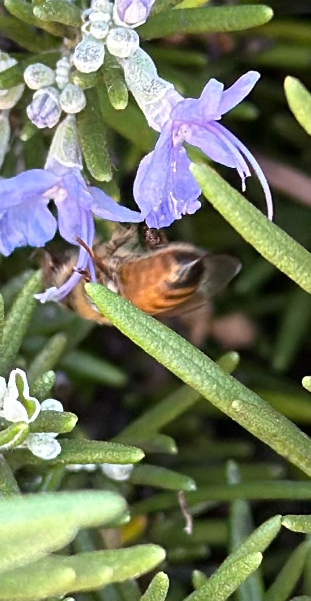 Cambria Scavenger Hunt scavenger hunt photos