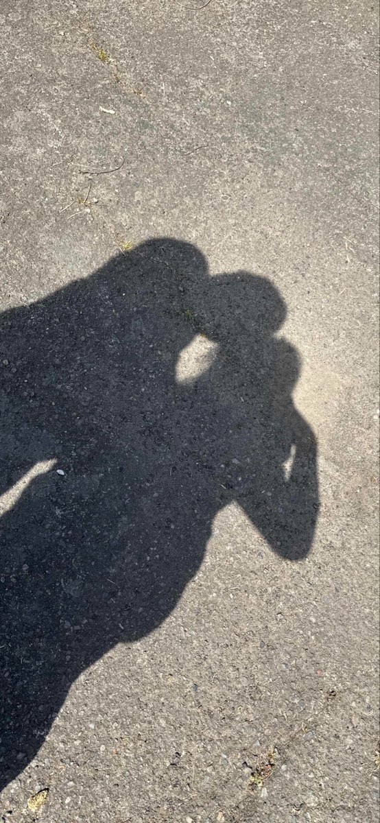 Φωτογραφίες κυνήγι θησαυρού West Linn