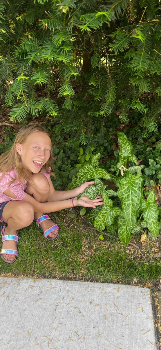 Michigan State University Scavenger Hunt scavenger hunt photos