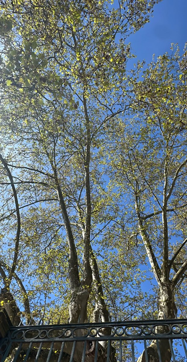 caça ao tesouro para team building