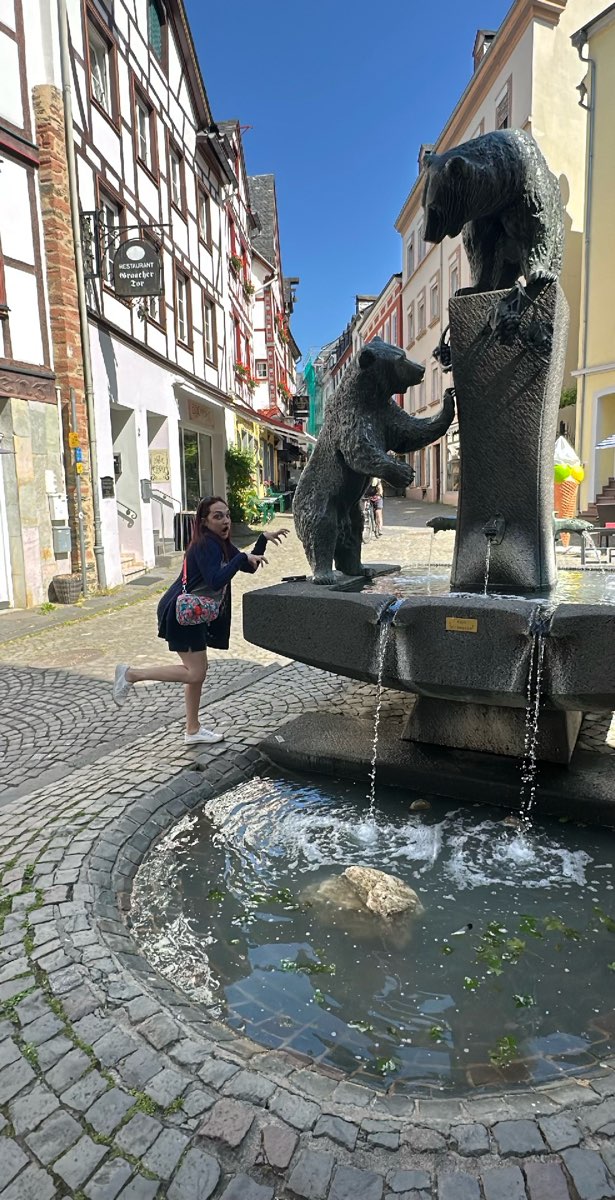 Fotografii Vânătoarea de Comori din Bernkastel Kues