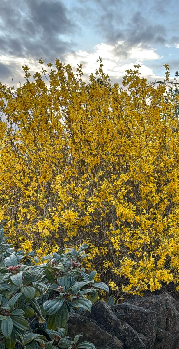 Bilder från skattjakten i Bourton on the Water