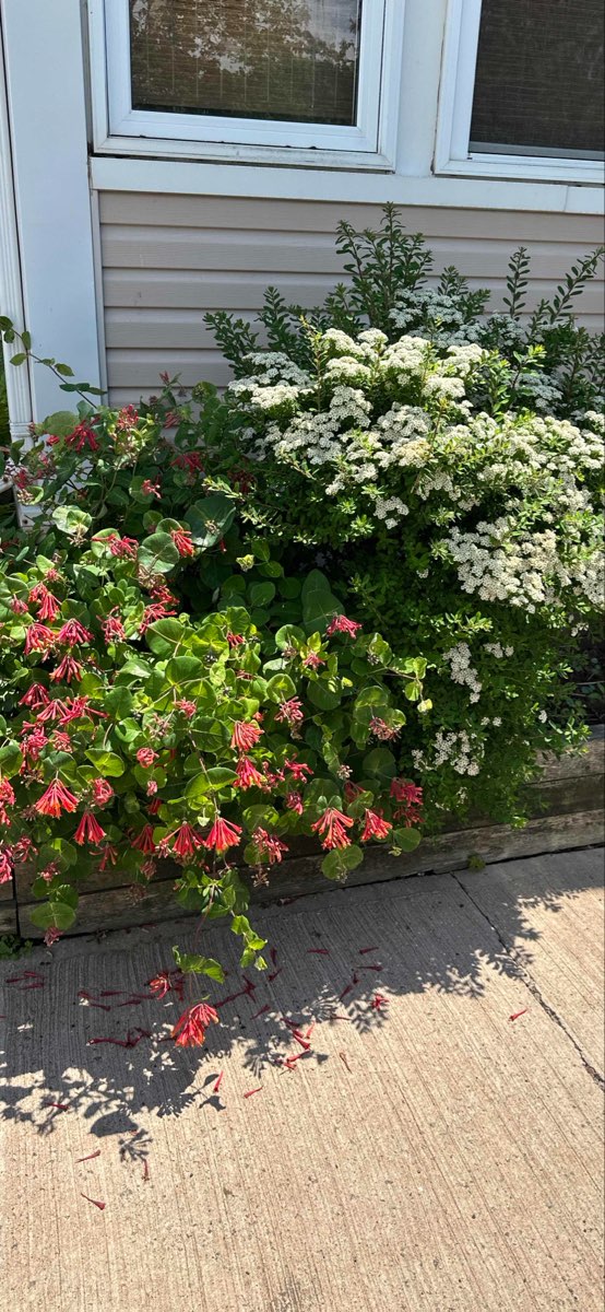 Charlottetown Scavenger Hunt scavenger hunt photos