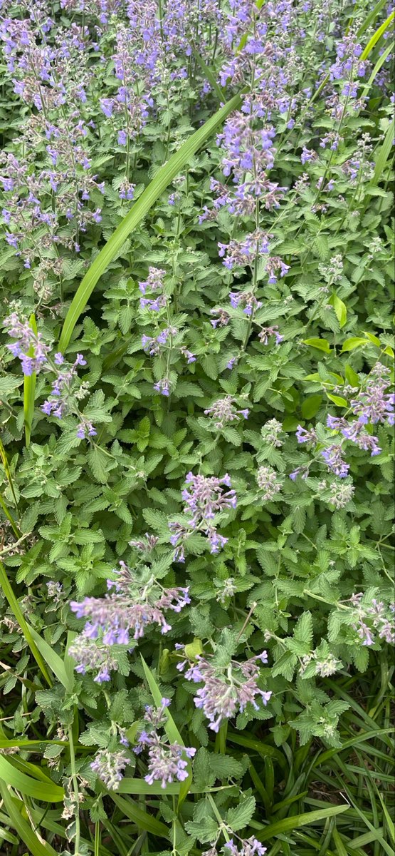 Downtown Scavenger Hunt scavenger hunt photos