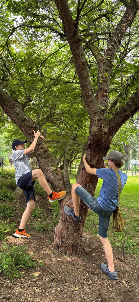 team building scavenger hunt