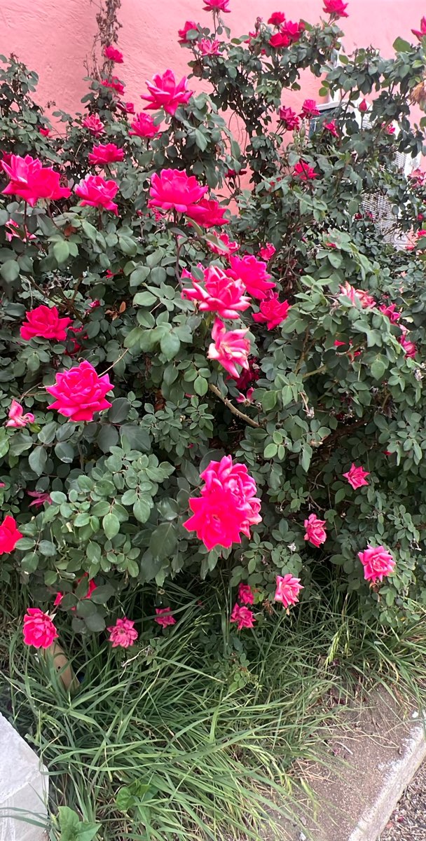 team building scavenger hunt