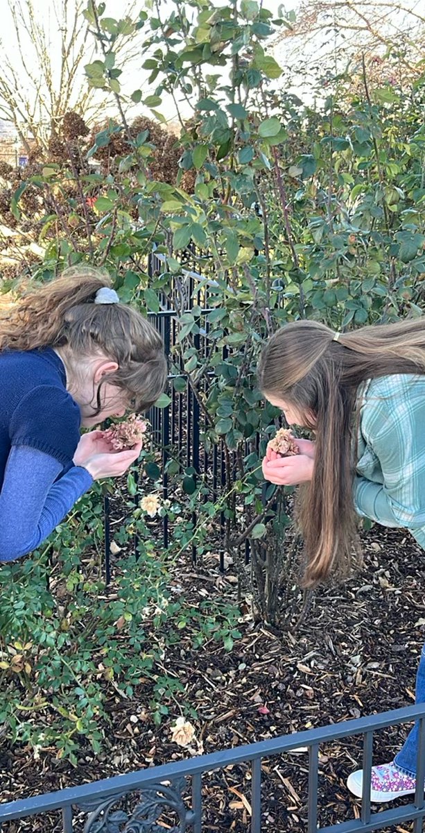 Morganton Scavenger Hunt scavenger hunt photos