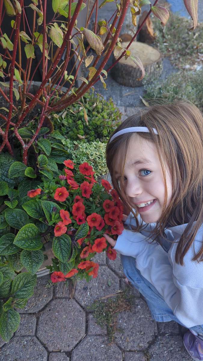 타호 시티 스캐빈저 헌트 스캐빈저 헌트 사진