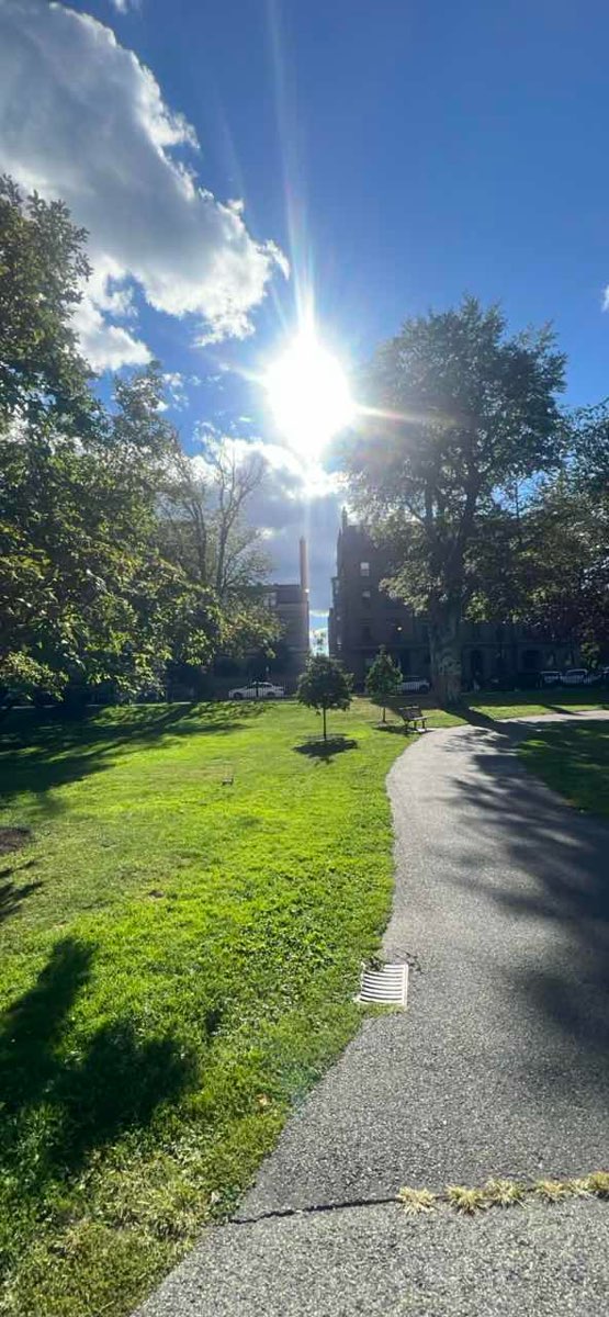 Back Bay Scavenger Hunt scavenger hunt photos