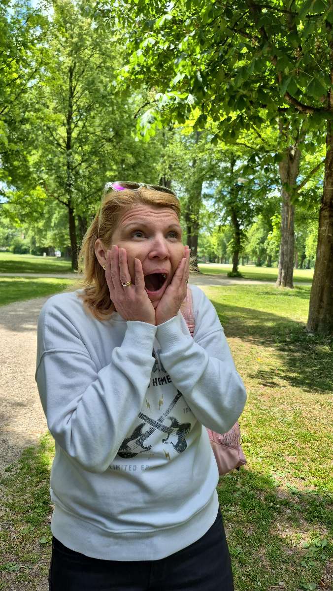 Fotografii cu Vânătoarea de Comori din Landshut