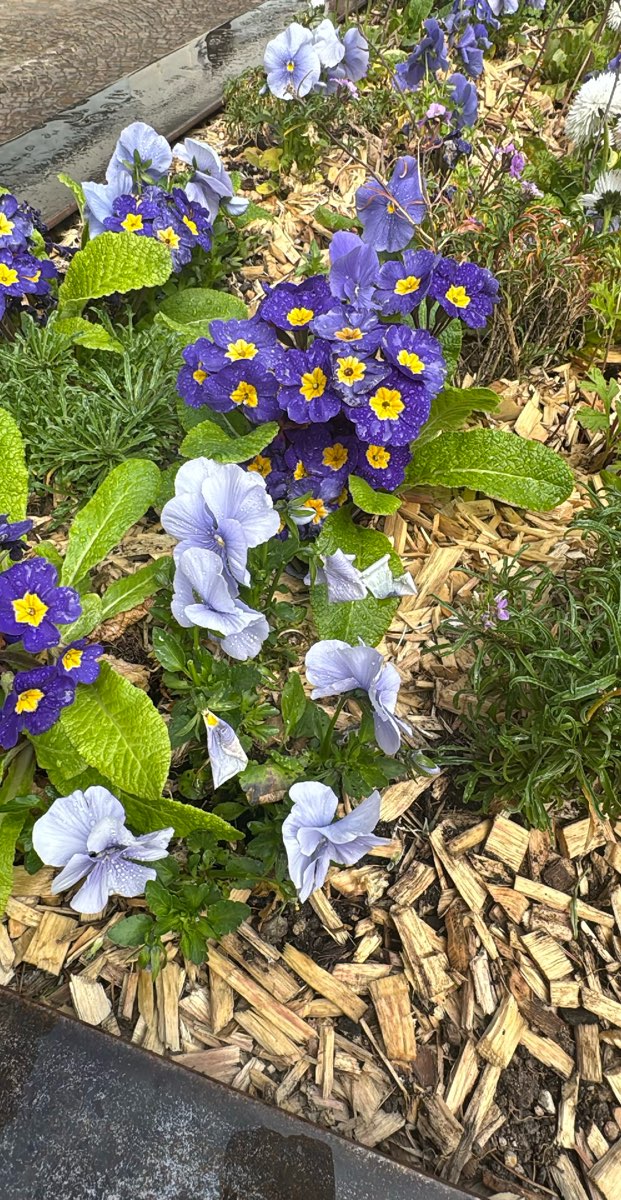 team building scavenger hunt