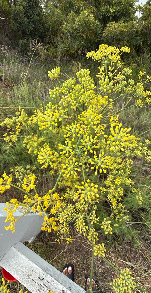 チームビルディング宝探しゲーム