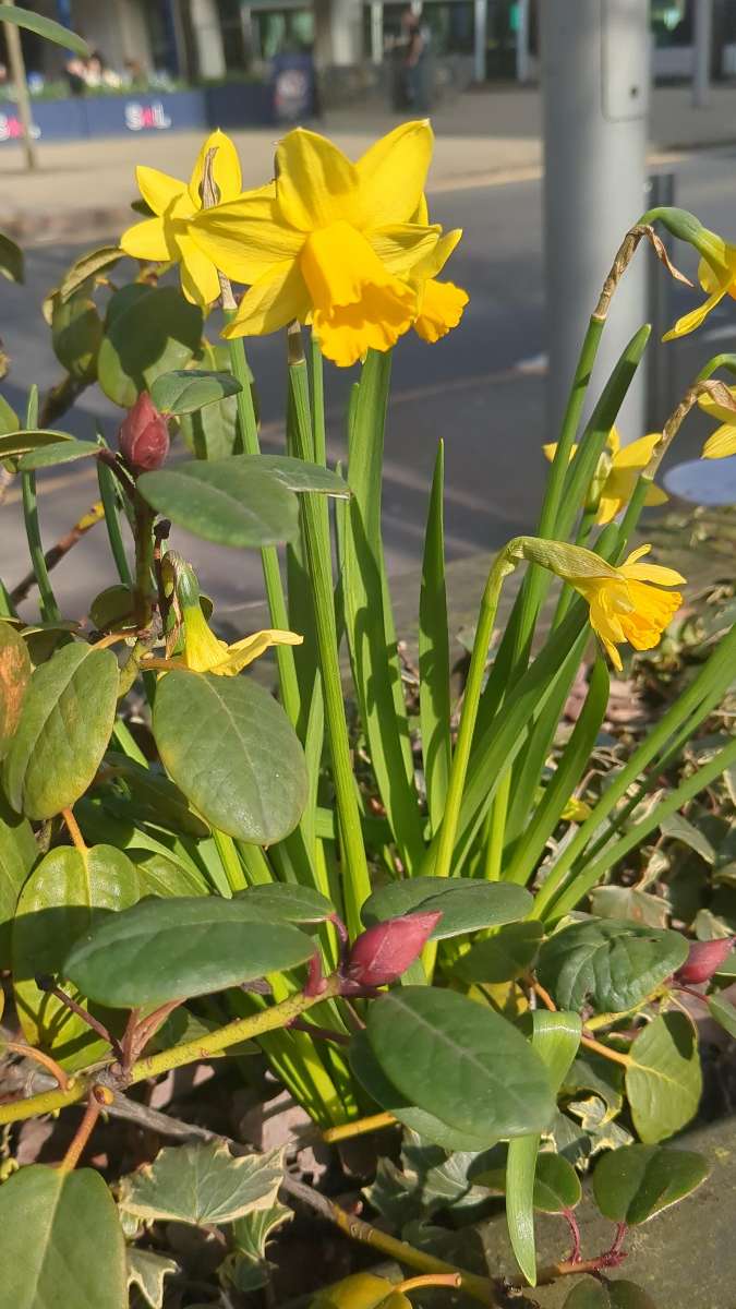 Nottingham Ghost Tour scavenger hunt photos