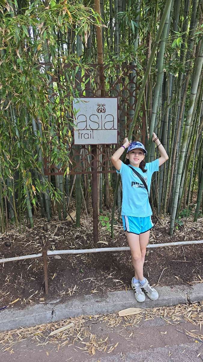 Capitol Hill Scavenger Hunt scavenger hunt billeder