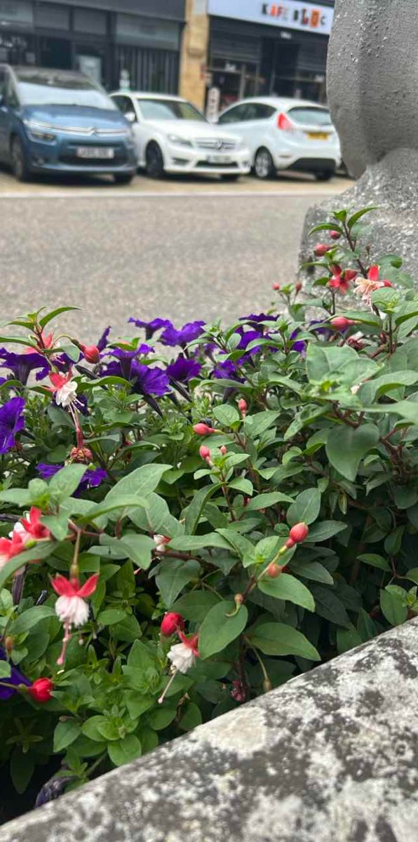 Kettering Scavenger Hunt scavenger hunt photos