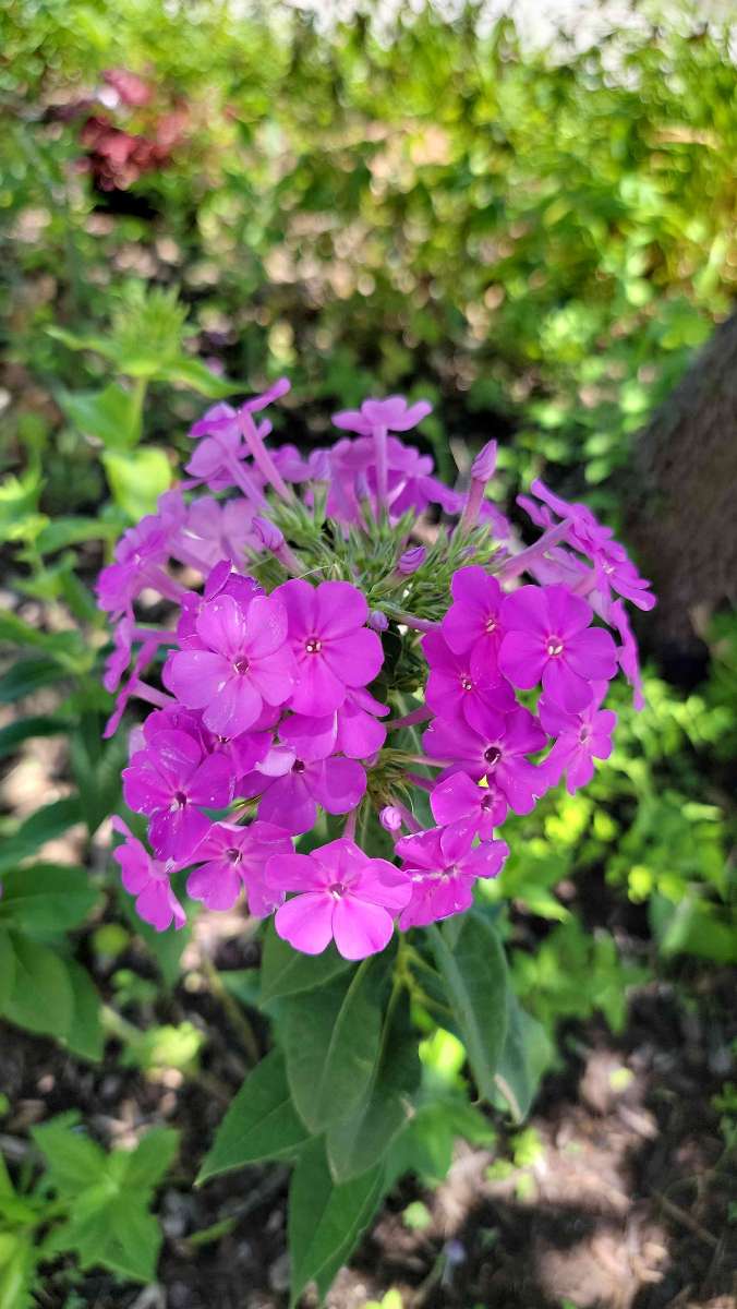 Guthrie Scavenger Hunt scavenger hunt photos