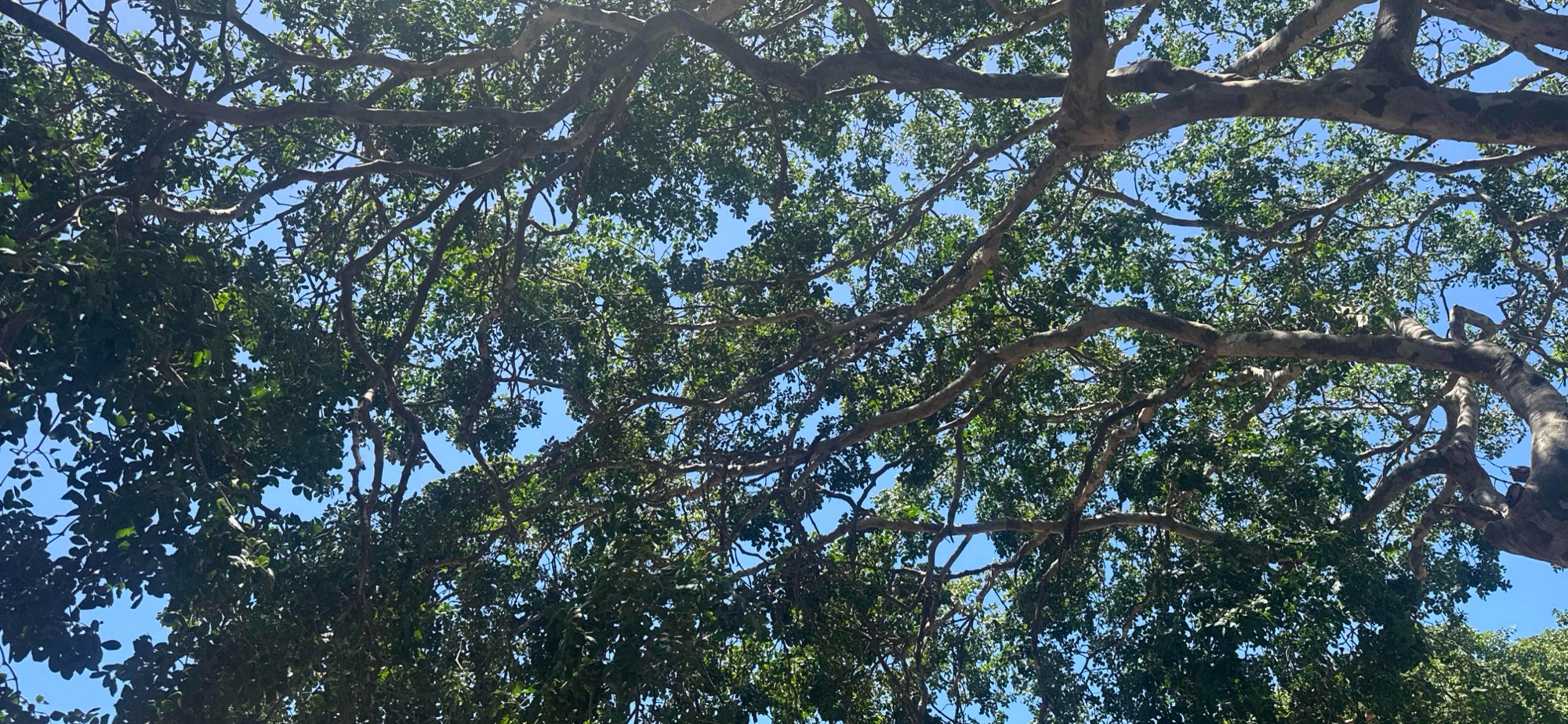 team building scavenger hunt