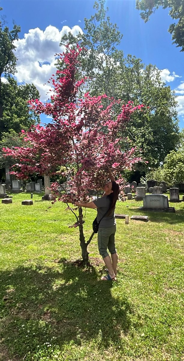 Billeder fra Charles Town Scavenger Hunt