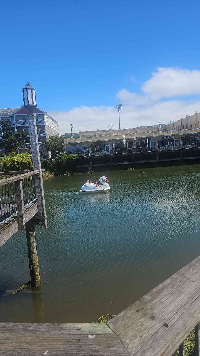 Seaside Scavenger Hunt -kaupunkiseikkailukuvat