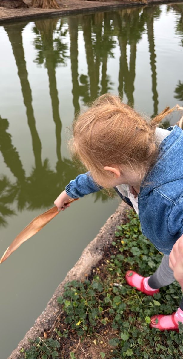 Fotografii de la V&acirc;n&abreve;toarea de Comori din Centrul Orașului Phoenix