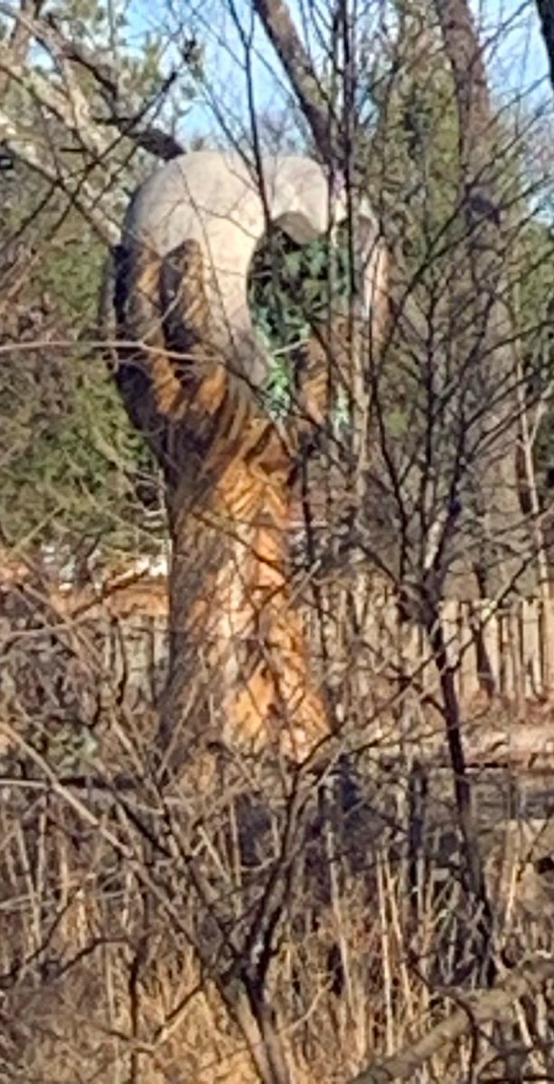 Bentonville Downtown Scavenger Hunt scavenger hunt photos