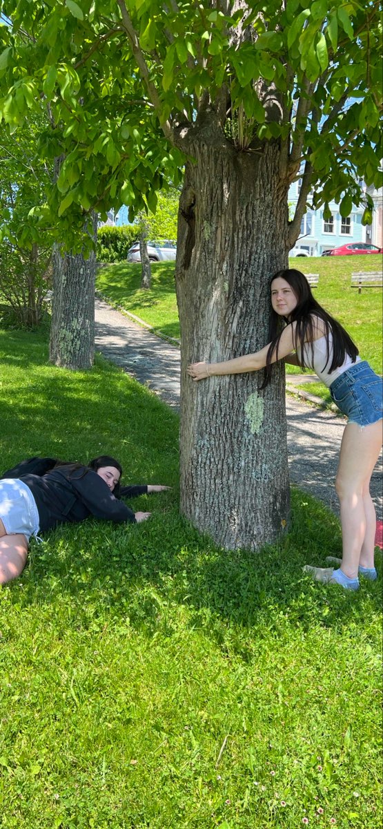 Lunenburg Scavenger Hunt scavenger hunt photos