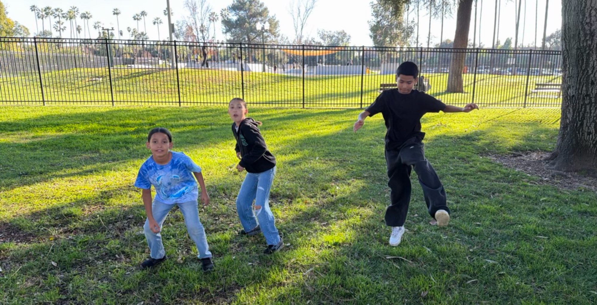 Fotografii de la V&acirc;n&abreve;toarea de Comori Redlands
