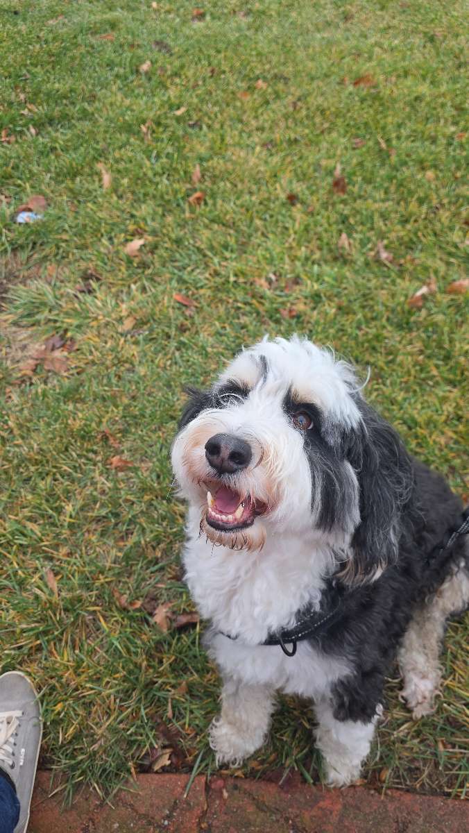 Fotos de la B&uacute;squeda del Tesoro de Miamisburg