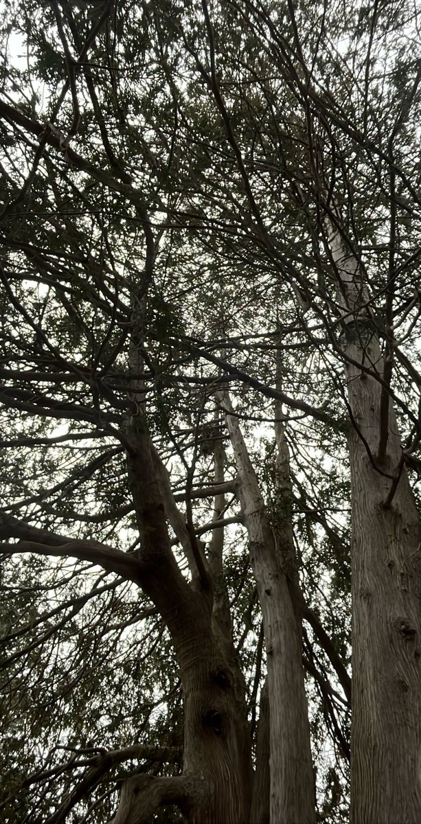 チームビルディング宝探しゲーム