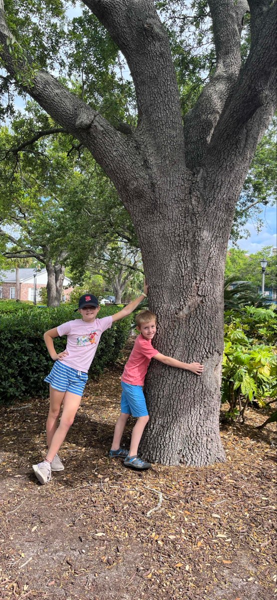 Beaufort South Carolina Scavenger Hunt scavenger hunt photos