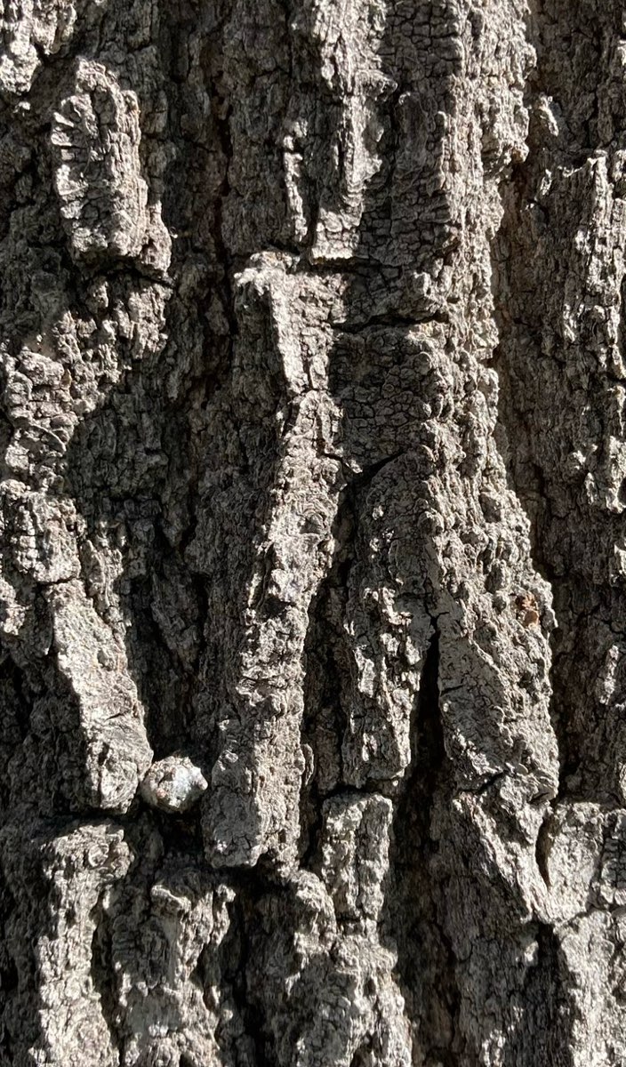 Denver Ghost Tour scavenger hunt photos