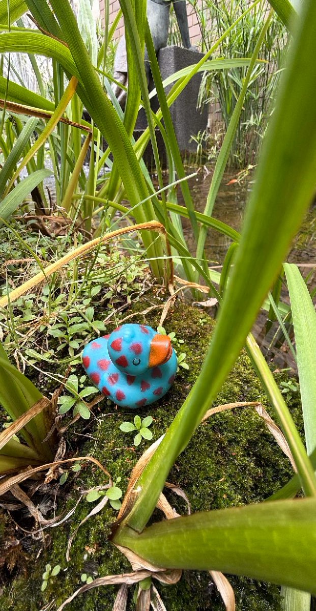 Canberra Scavenger Hunt scavenger hunt photos