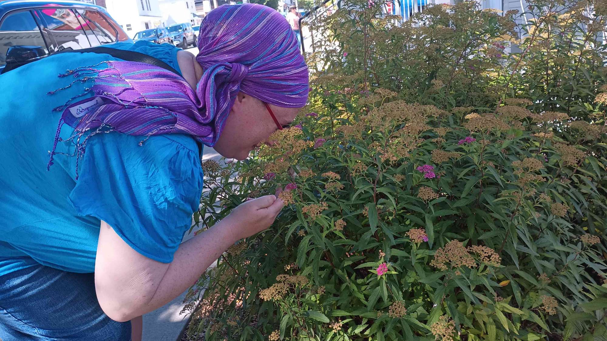 Williams College Scavenger Hunt scavenger hunt photos